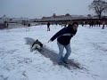 Qu� Hostia!