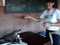 quati domesticado em fernão/sp