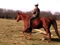 Rachel and Tucker, 3rd Time Bridleless