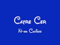 Catre Cer- N-am cuvinte