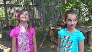 Huronia Museum - Treasure Hunting