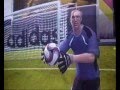 gol torres fifa 09