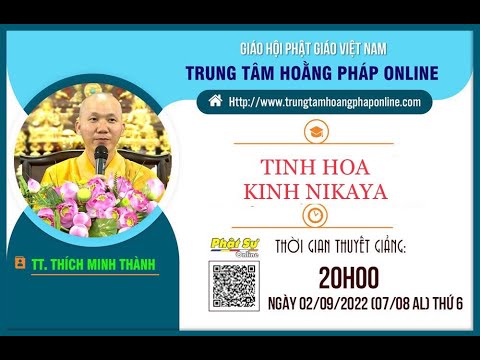 Tinh Hoa NIKAYA - Cảm Thọ Dẫn Dắt Thế Giới !