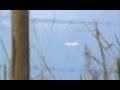 Real UFO Sightings! Wait tell you See This! Amazing Bright UFO Jan 27,2012