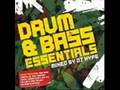 Dj Krust ft Skibadee Shabba & Navigator