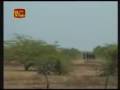 videos de Wanni Operation 01/01/2009 - Air Force continues raids on identified LTTE targets