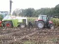 mais selieren 2007 bei nachbarn