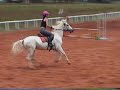 Hipismo- Mun