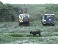 TOYOTA and DEFENDER in climb TOYOTA and DEFENDER in climb