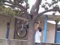 annoying video funny as hell