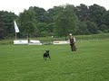 DEMO 2 RETRIEVER FONTAINEBLEAU-TRAINING