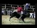 4 GANADERIAS EN POLONCINGO,GRO