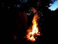 FrogBlog-13, Tadpole tending the fire