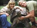 Steve Irwin Tribute Steve Irwin Tribute
