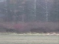 Polowanie dla myśliwych z Niemiec | WKŁ ŁOŚ Goleniów