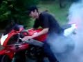 Kawasaki ZXR 250 Burnout