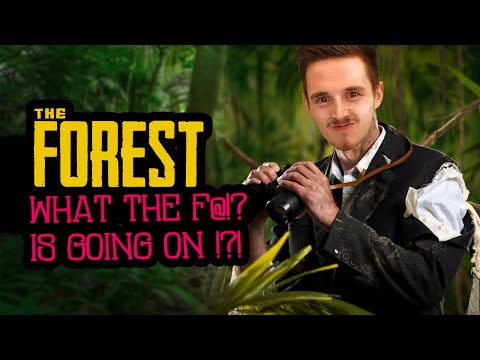 The Forest: What The F*CK Is Going On !?! (2)