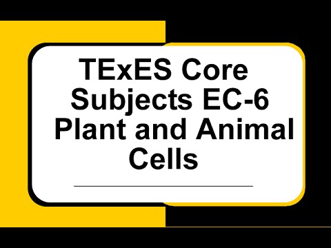 how to pass the ec-6 generalist exam