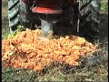 Rotor stump grinder