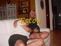 HAROLDO NORAT GUIMARAES