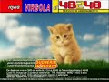 Il gattino Virgola che viene colpito con una mazza da golf Il gattino Virgola che viene colpito con una mazza da golf