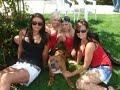 Click here to watch this video Chicks And Pits/Bullies / www.American-Bully.com