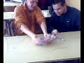 zaj?czek piórnik :D zaj?czek piórnik :D