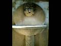 videos de mirabella imbaccari: che paese...