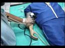 UMSNH Ciberhospital