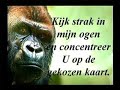 Bokito is boos en wijs kijk zelf maar