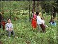 Oh! ho! Hongman kala Kaphung