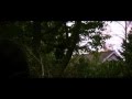 Radical Face Always Gold Official Music Video and Lyrics