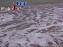 nadorien.com nadorien.com