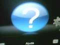 videos de miau