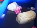 Floating stones in Ram Setu - Scientific validation