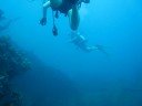 Antilla Wreck Dive, Aruba (Part 3 of 3)