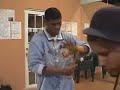 Video of Juan Manuel Lopez Training 07/06-1