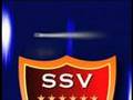 SSV Cup 2008