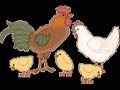 Aint Nobody Here But Us Chickens