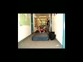 Mattress Sliding Olympics Mattress Sliding Olympics