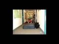 Mattress Sliding Olympics