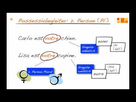 possessivbegleiter französisch}
