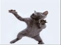 Can You Dance?!?!?!?!