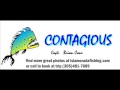 fish for baracuda in the keys.wmv
