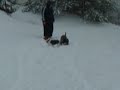 Snow day 1