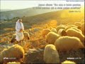 433 - Cidad�o dos C�us (Coral de Mar�lia)