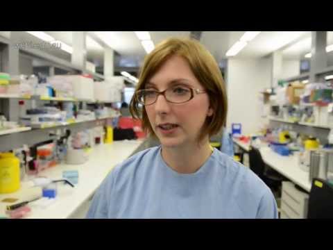 Andreea Waltmann (2013) Malaria PhD student, Infection and Immunity division