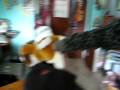 videos de Casa mia XD 015
