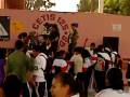 videos de memorama x los insectos