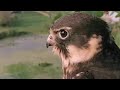 Supernatural - Unseen Power: The Power of Reflexes
